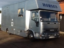 Ford iveco horse lorry for sale #2