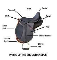 How to Put Together a Horse Saddle| Horsemart