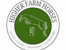 Higher Farm Horses | Business page | Horsemart