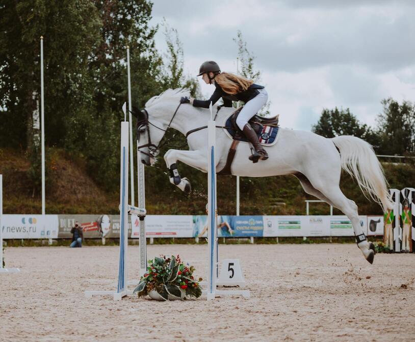 Elliott Rowe's Training Tips For Producing A Show Jumper Fro by Rowebuck  Showground